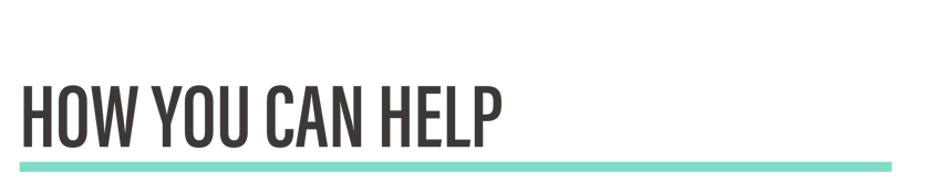 How_You_Can_Help2